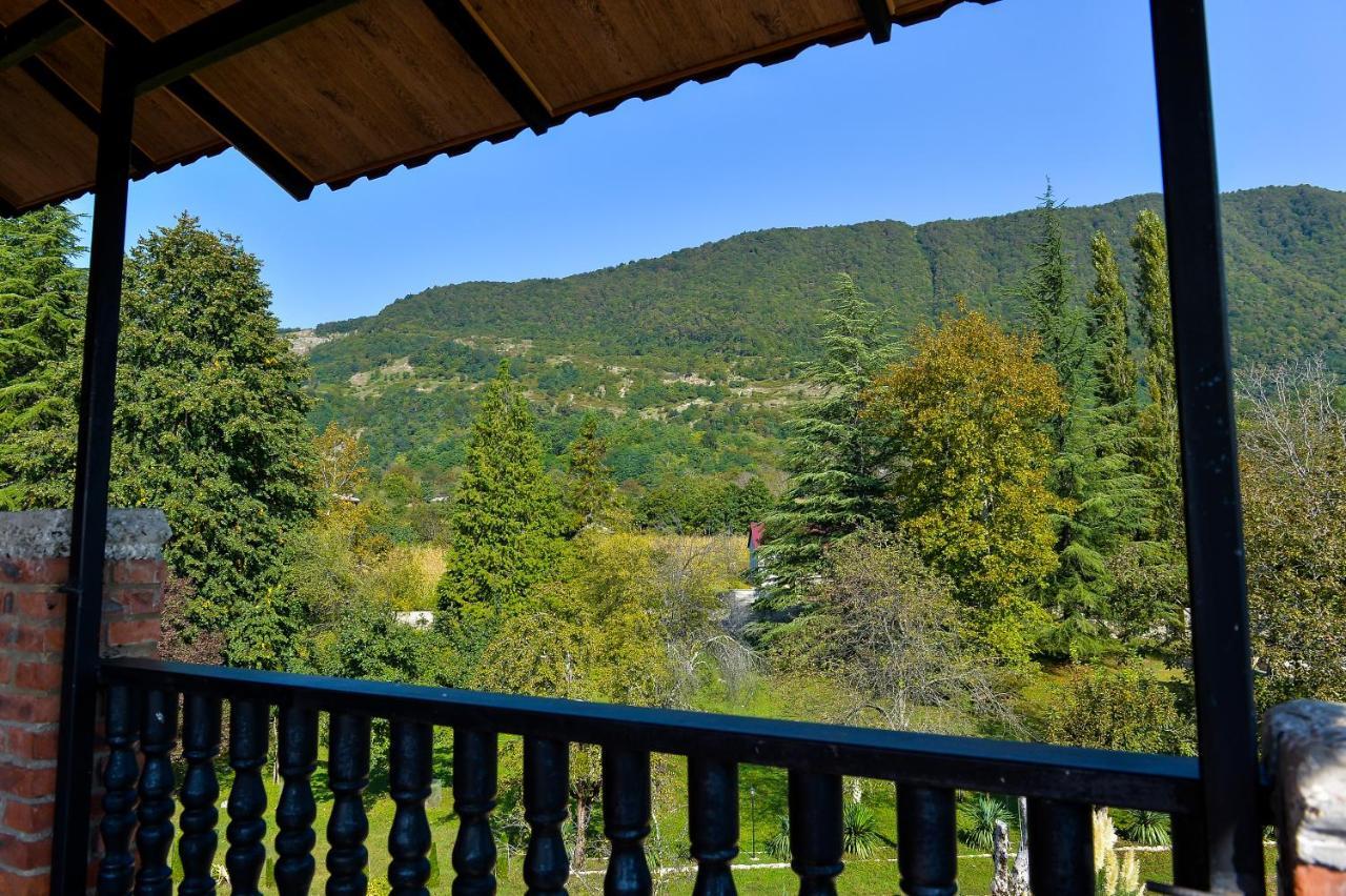 Chateau Chikovani Hotel Gordi Bagian luar foto