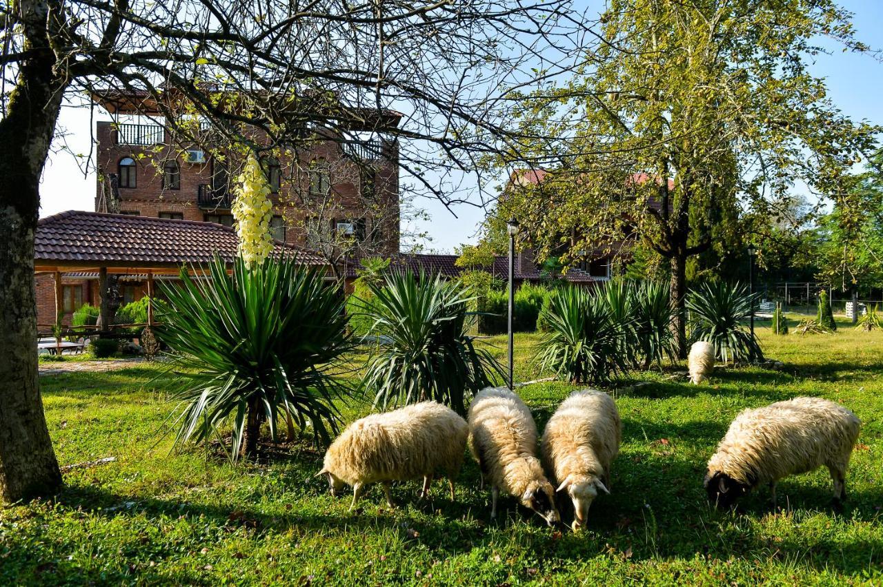 Chateau Chikovani Hotel Gordi Bagian luar foto
