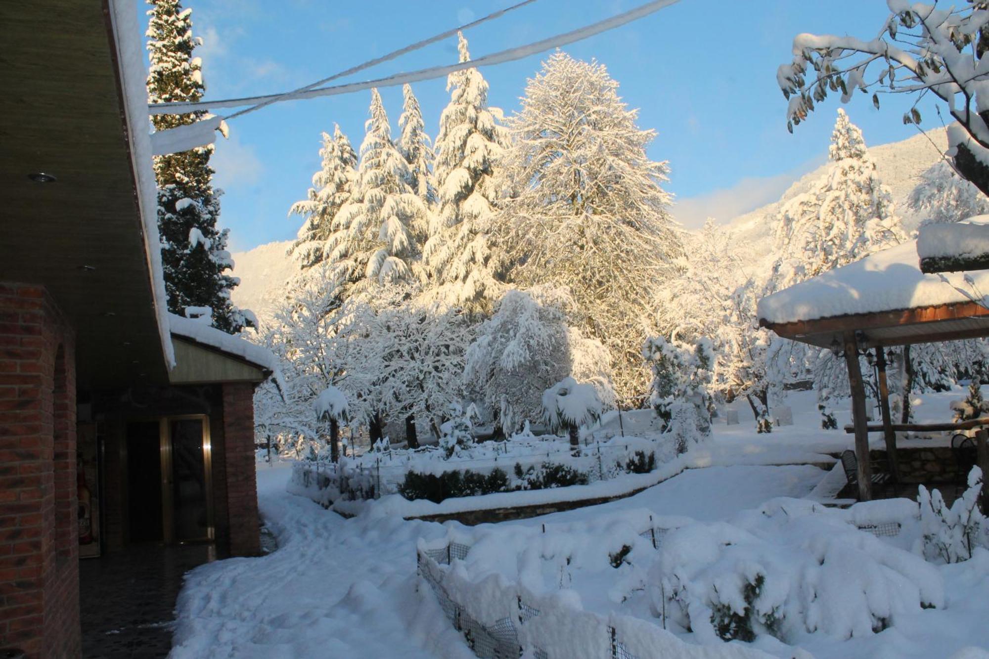 Chateau Chikovani Hotel Gordi Bagian luar foto