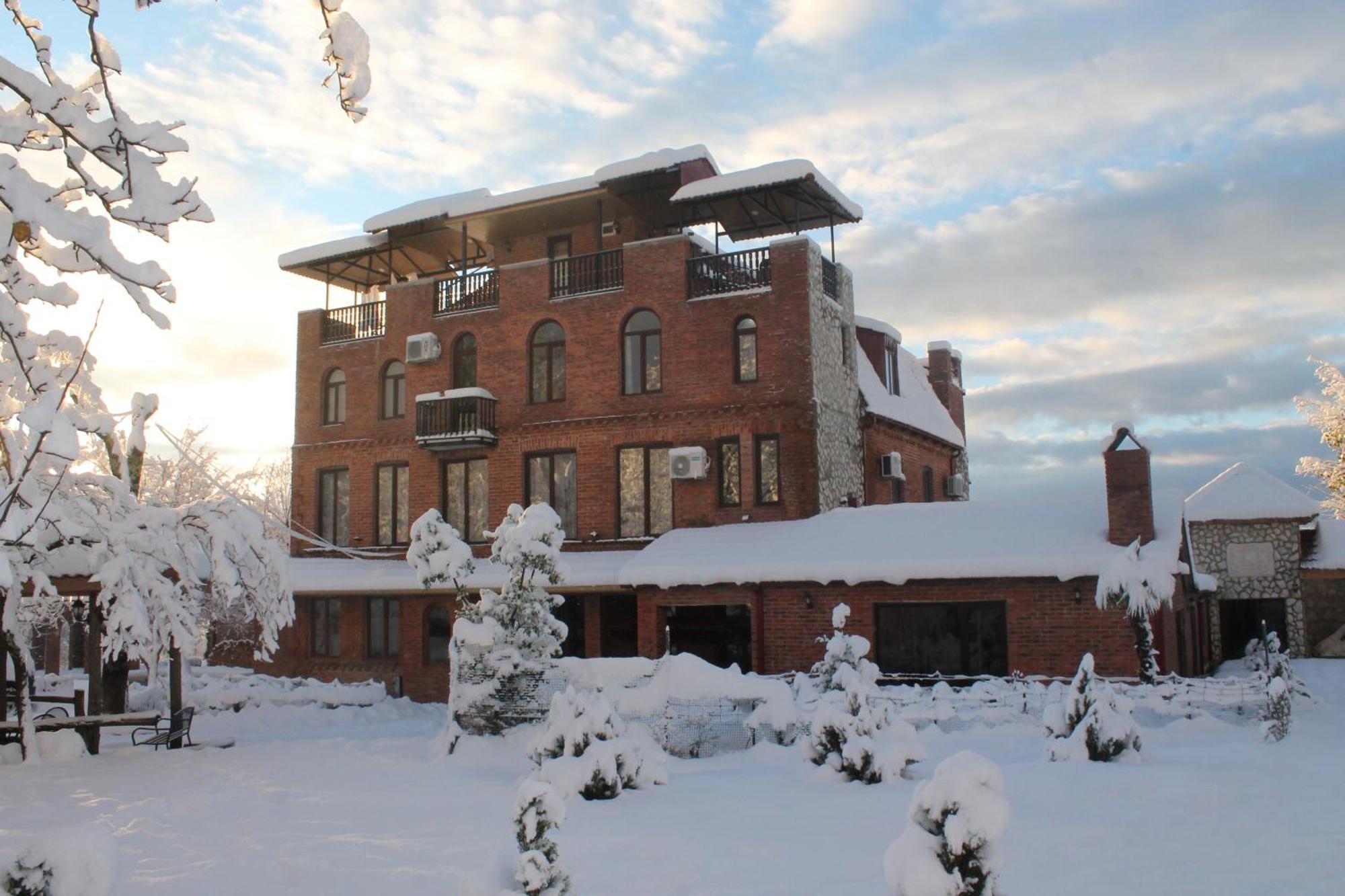 Chateau Chikovani Hotel Gordi Bagian luar foto