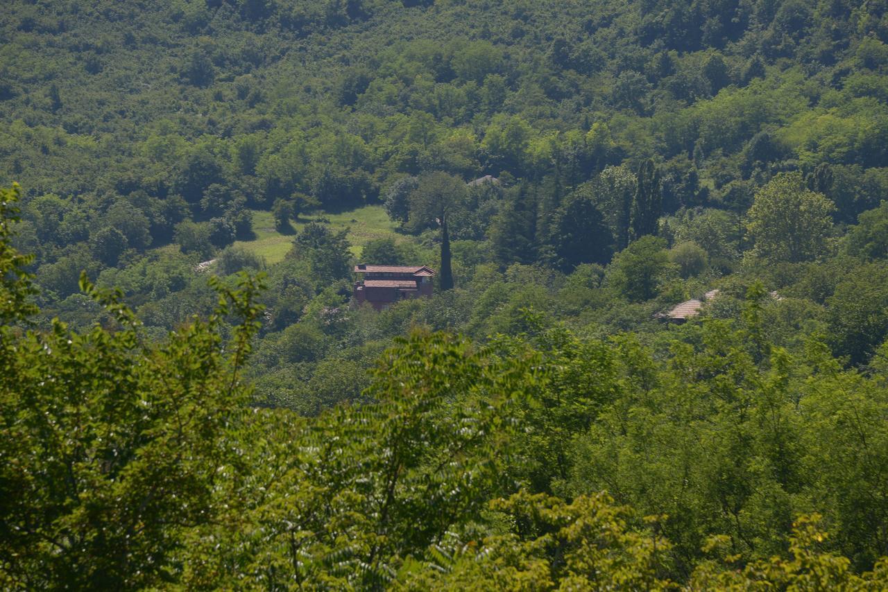 Chateau Chikovani Hotel Gordi Bagian luar foto