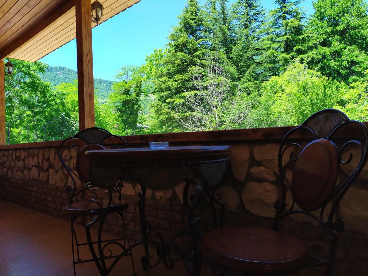 Chateau Chikovani Hotel Gordi Bagian luar foto